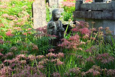 長野県東筑摩郡生坂村　小舟の彼岸花