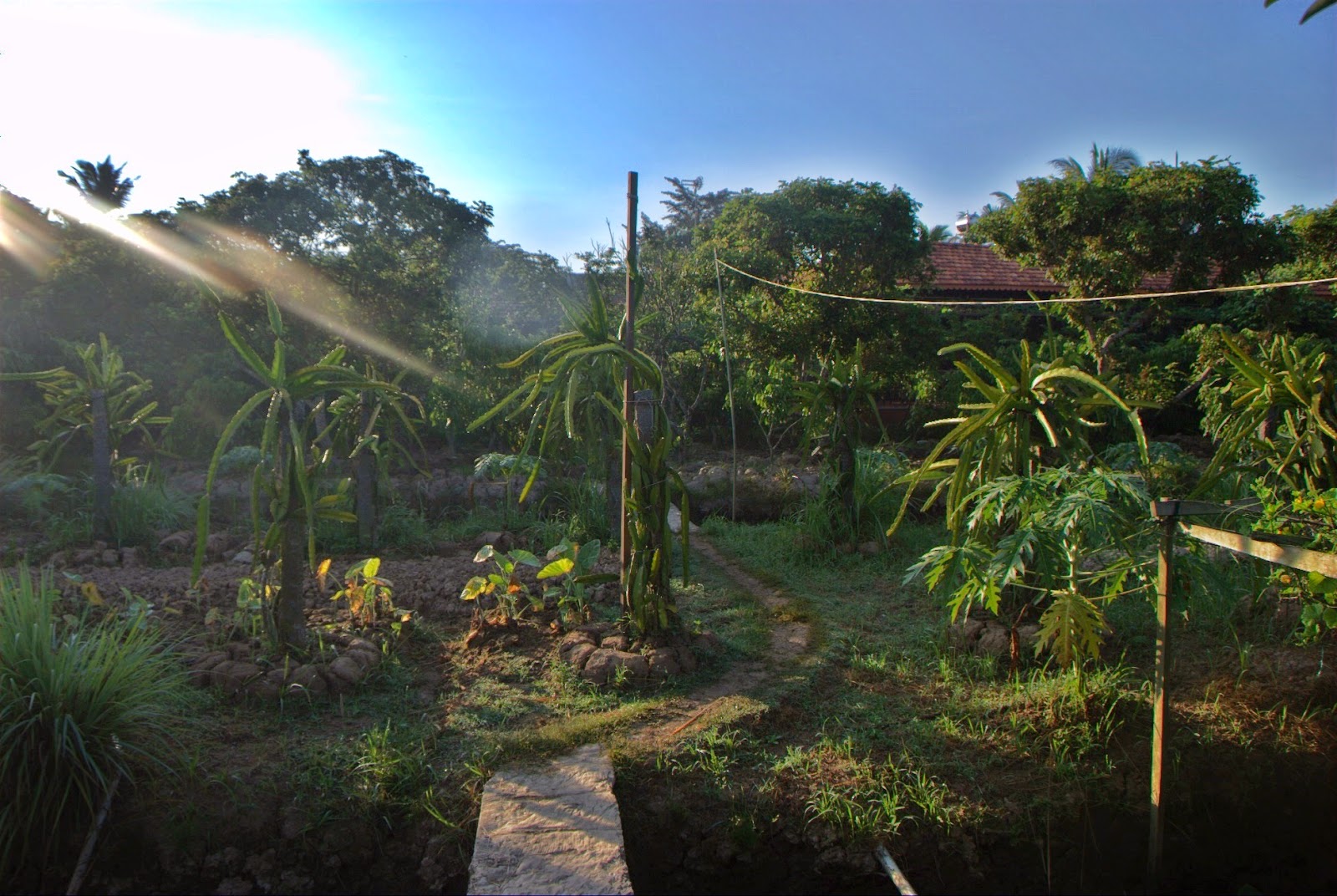 Trải nghiệm du lịch ngủ nhà dân tại Út Trinh Homestay, Vĩnh Long