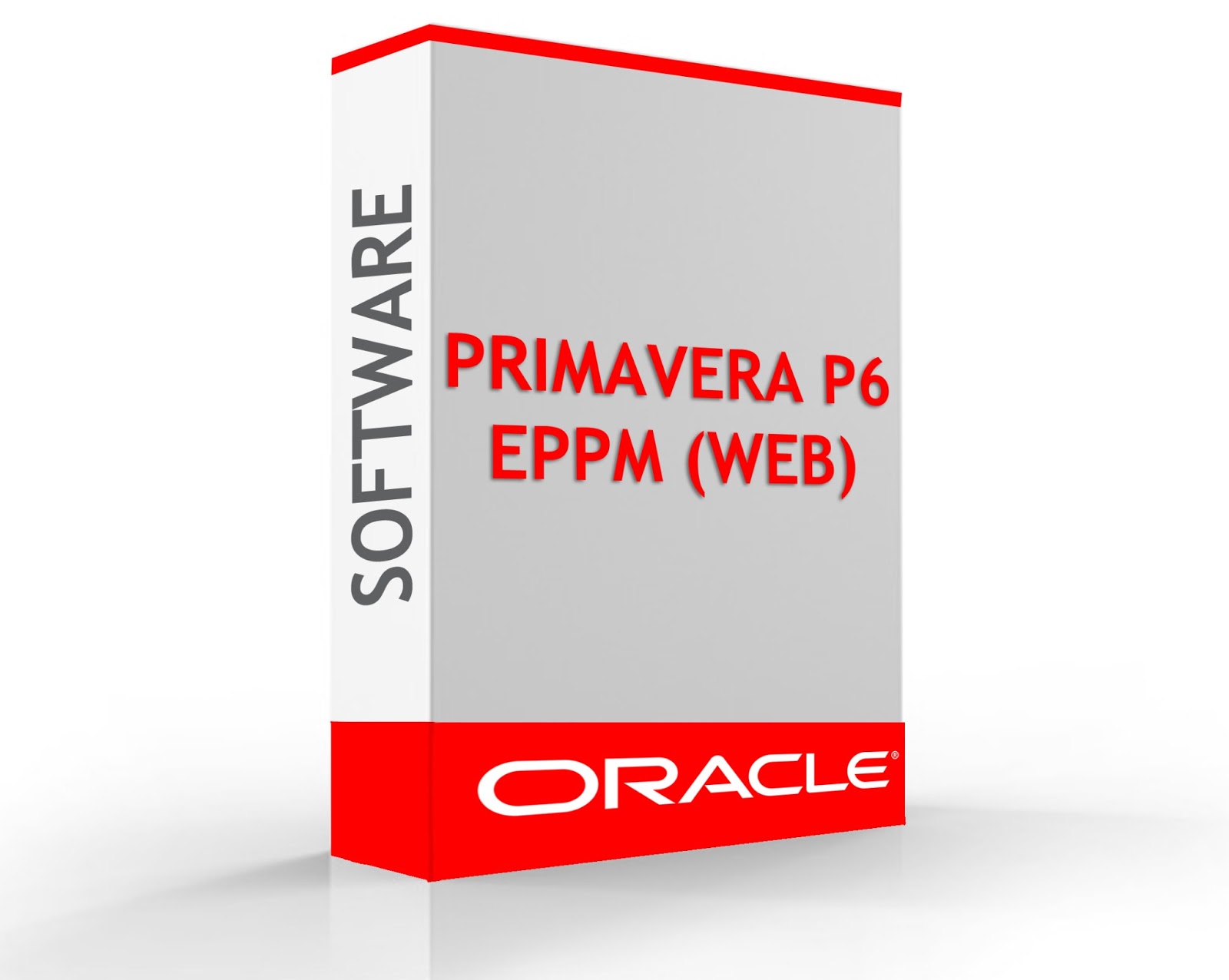 primavera p6 software