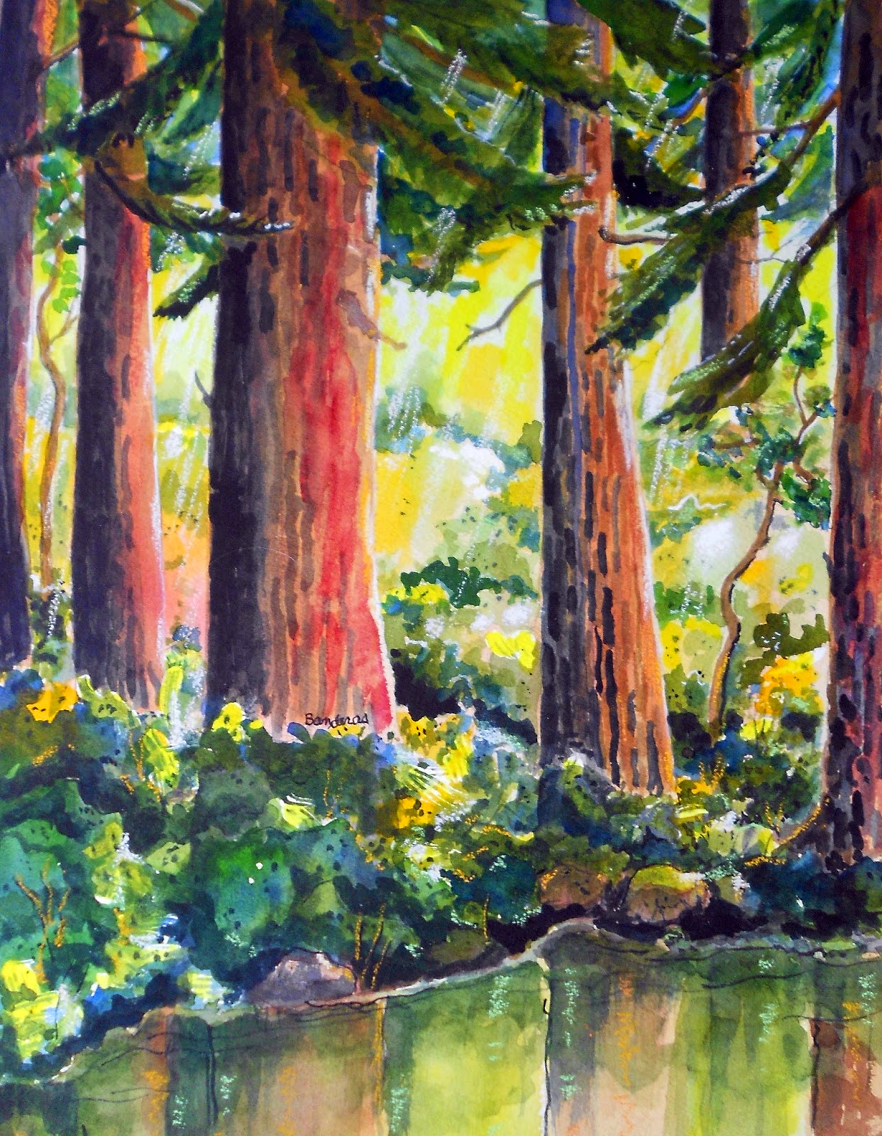Terry's Ink and Watercolor Redwoods