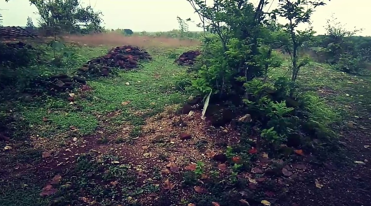 situs goa sentono Foto tumpukan batu bata bekas bangunan candi di situs sentono