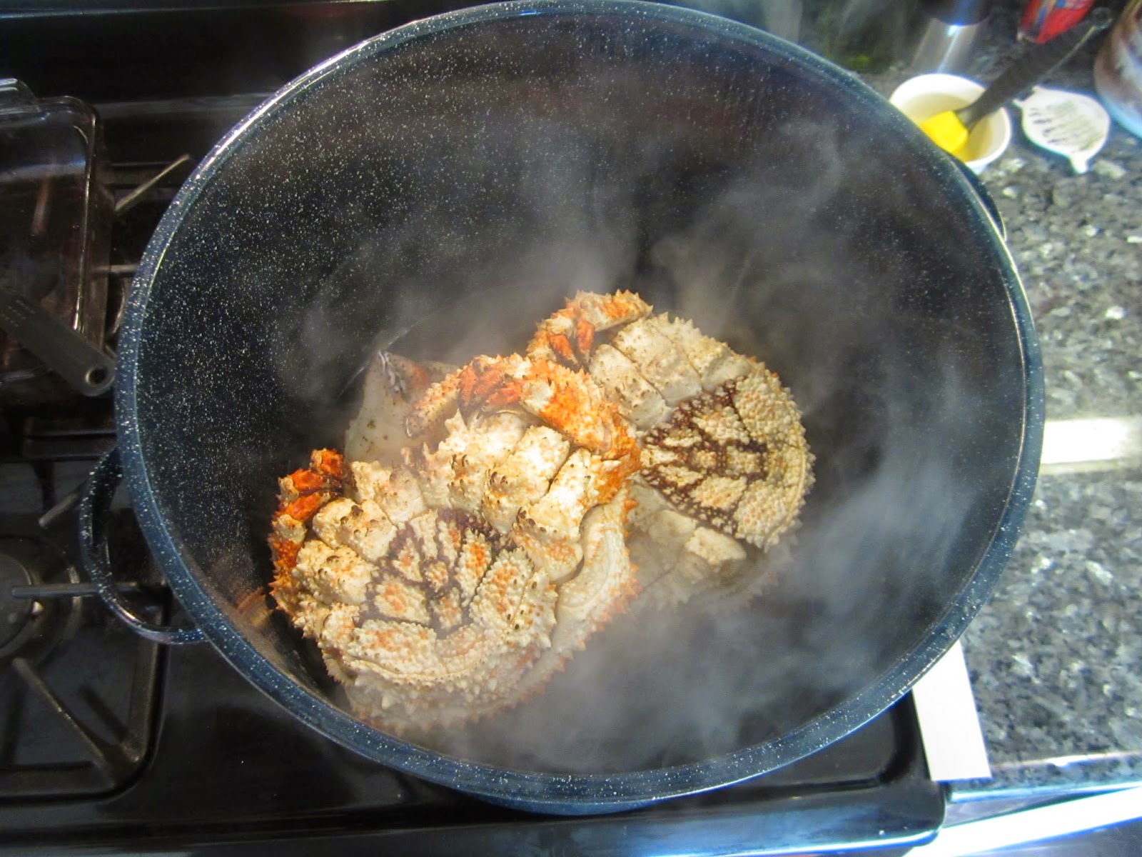 The Backyard Gourmand San Diego Box Crabs Cooking (Steaming) 101