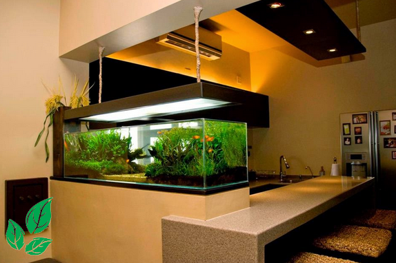 Model Akuarium Model Akuarium