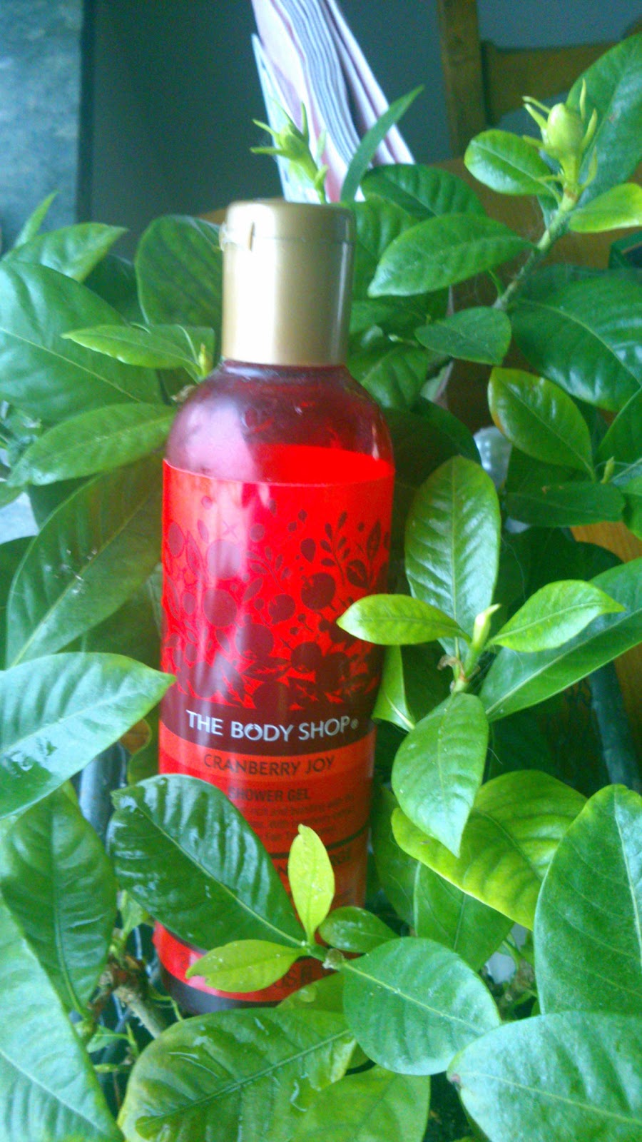 Vanilla Kissemiss The Body Shop Cranberry Joy Shower Gel