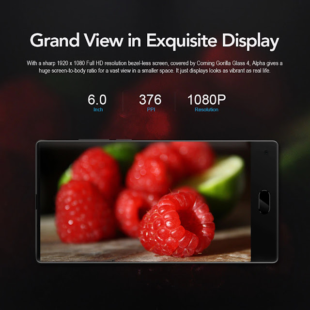 MAZE Alpha MAZE Alpha