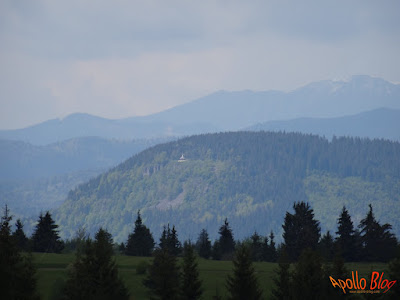 Tarnita vazuta din Filpea