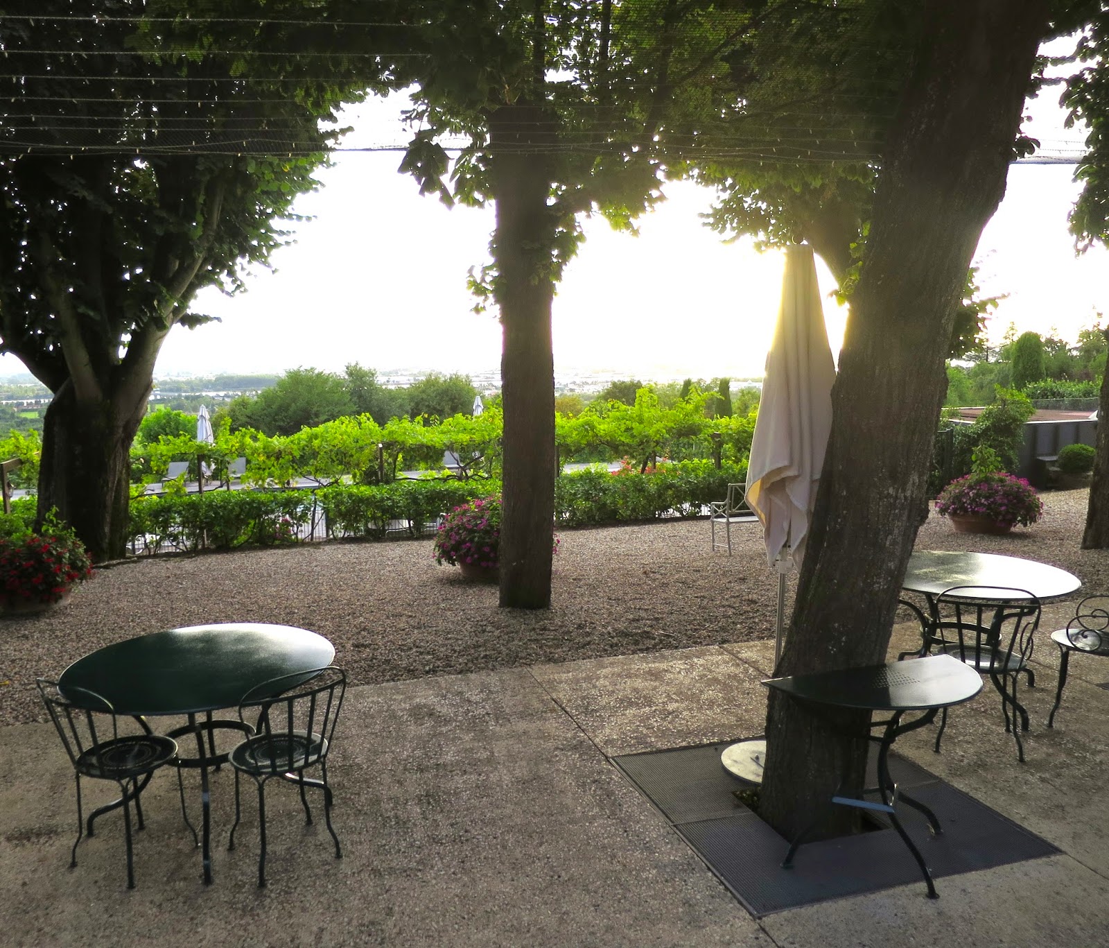 international-luxury-consulting-hotel-le-saint-james-relais-et