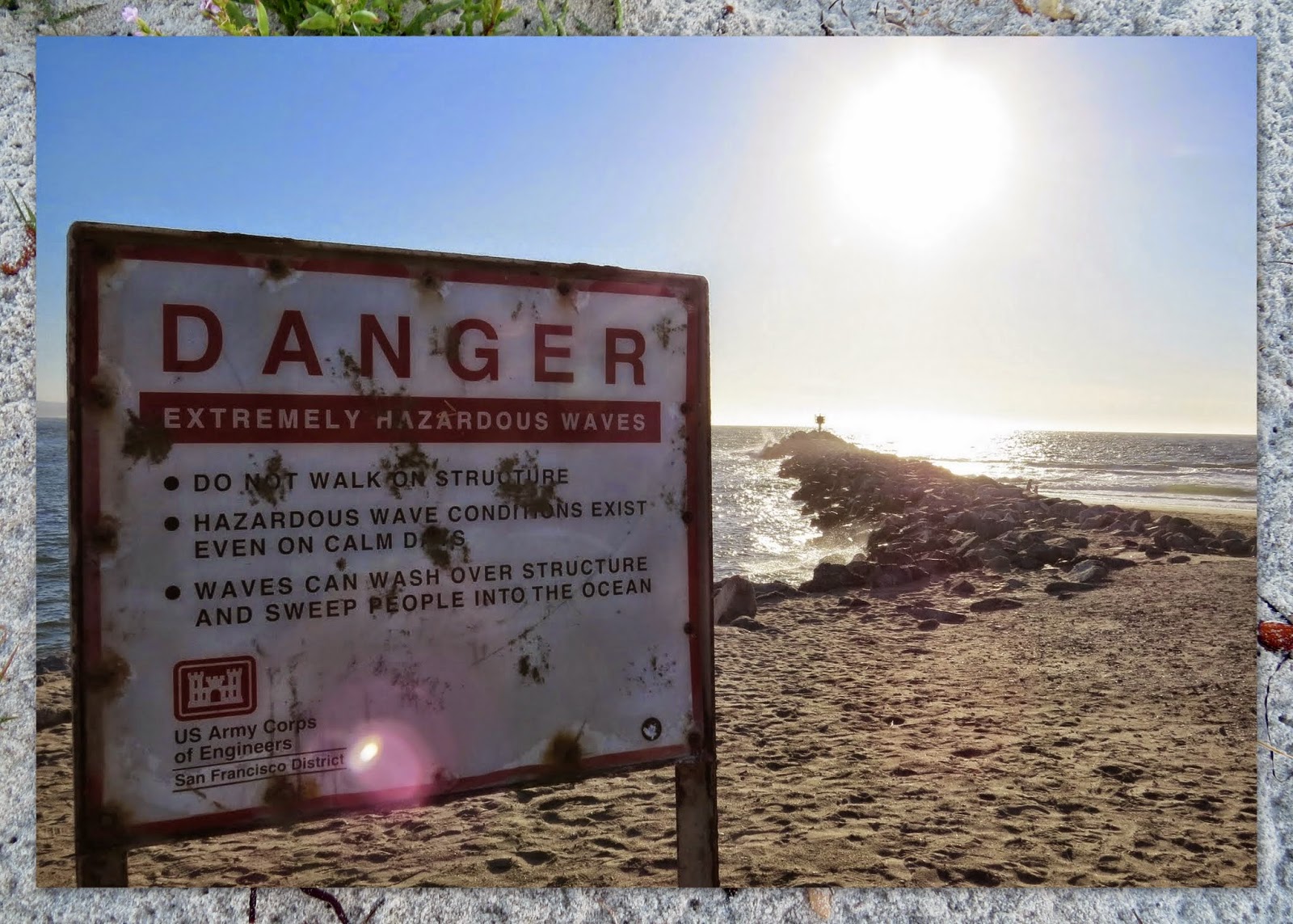 Wildlife Watching at Moss Landing in Monterey County