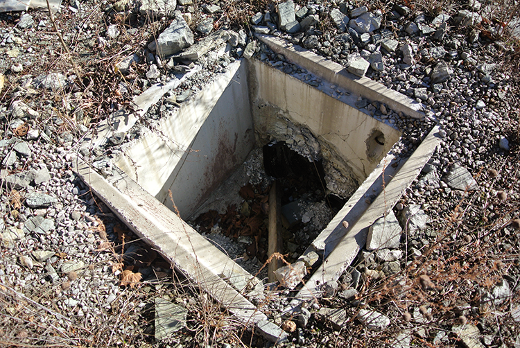 The Clio Society The Mushroom Mines of Kentucky