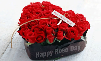 Rose Day Message For GirlFriend