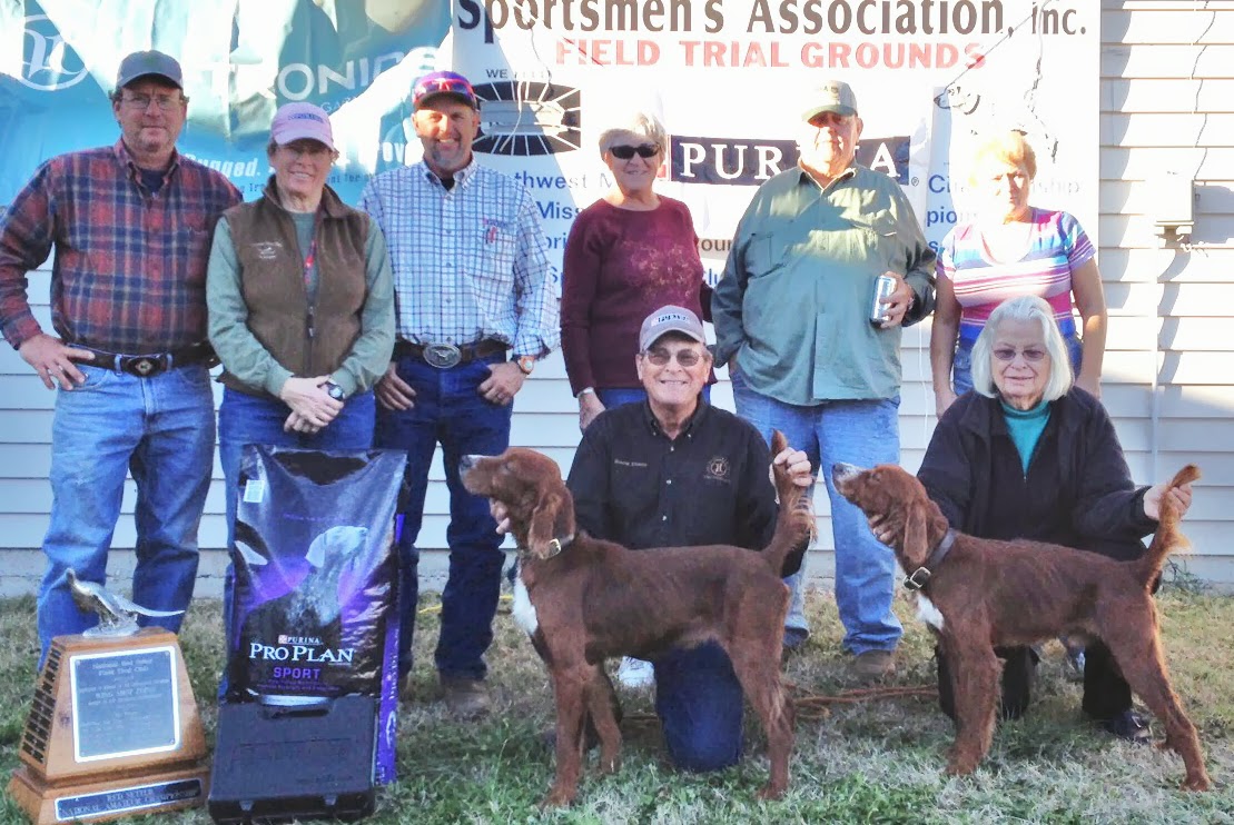 A piece of the Purest Challenge Fall Shooting Dog Championship Pics!!