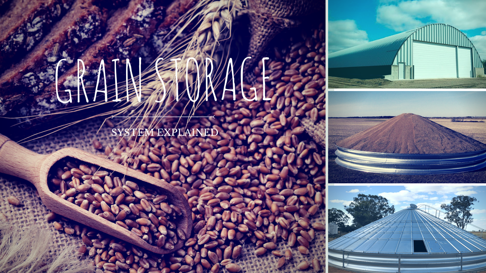 Choosing the Best Grain Storage Solutions for Your Crops