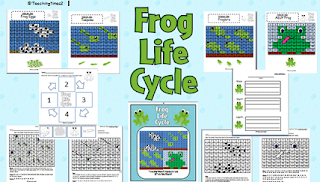 new+frog Teaching Times 2