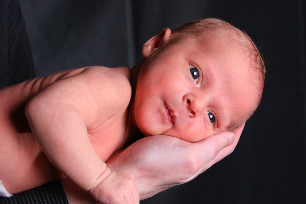 ボーボエル – 知性と保護本能を備えた忠実な巨人