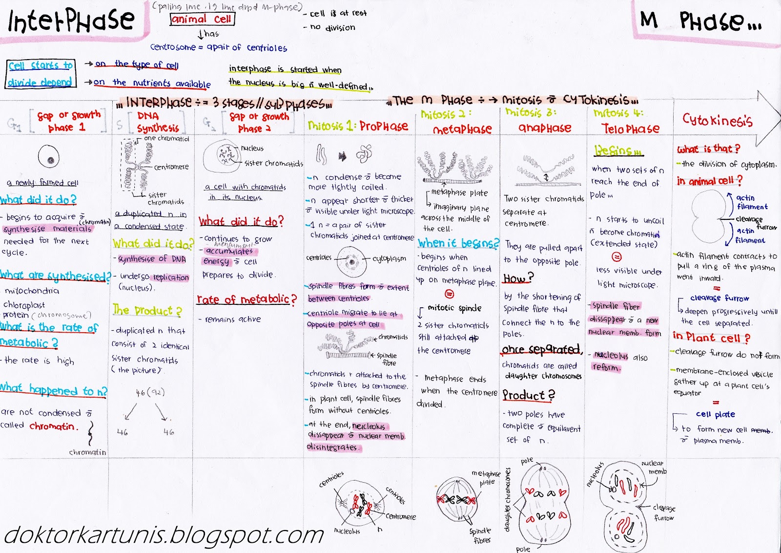 Koleksi Nota SPM Biology SPM Notes (in English)