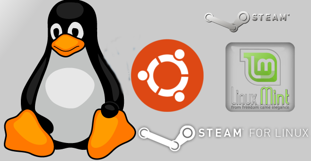 steam linux install