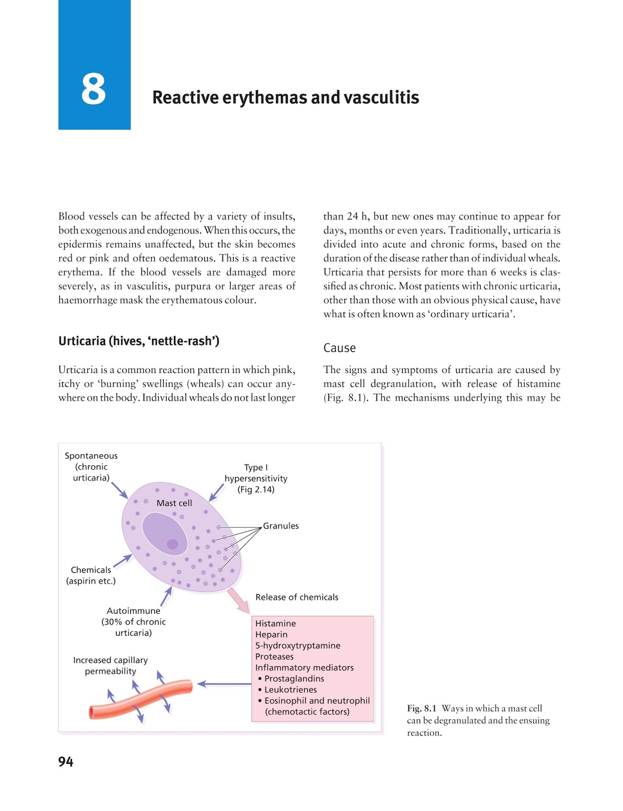 bovine adrenal glands bovine adrenal glands