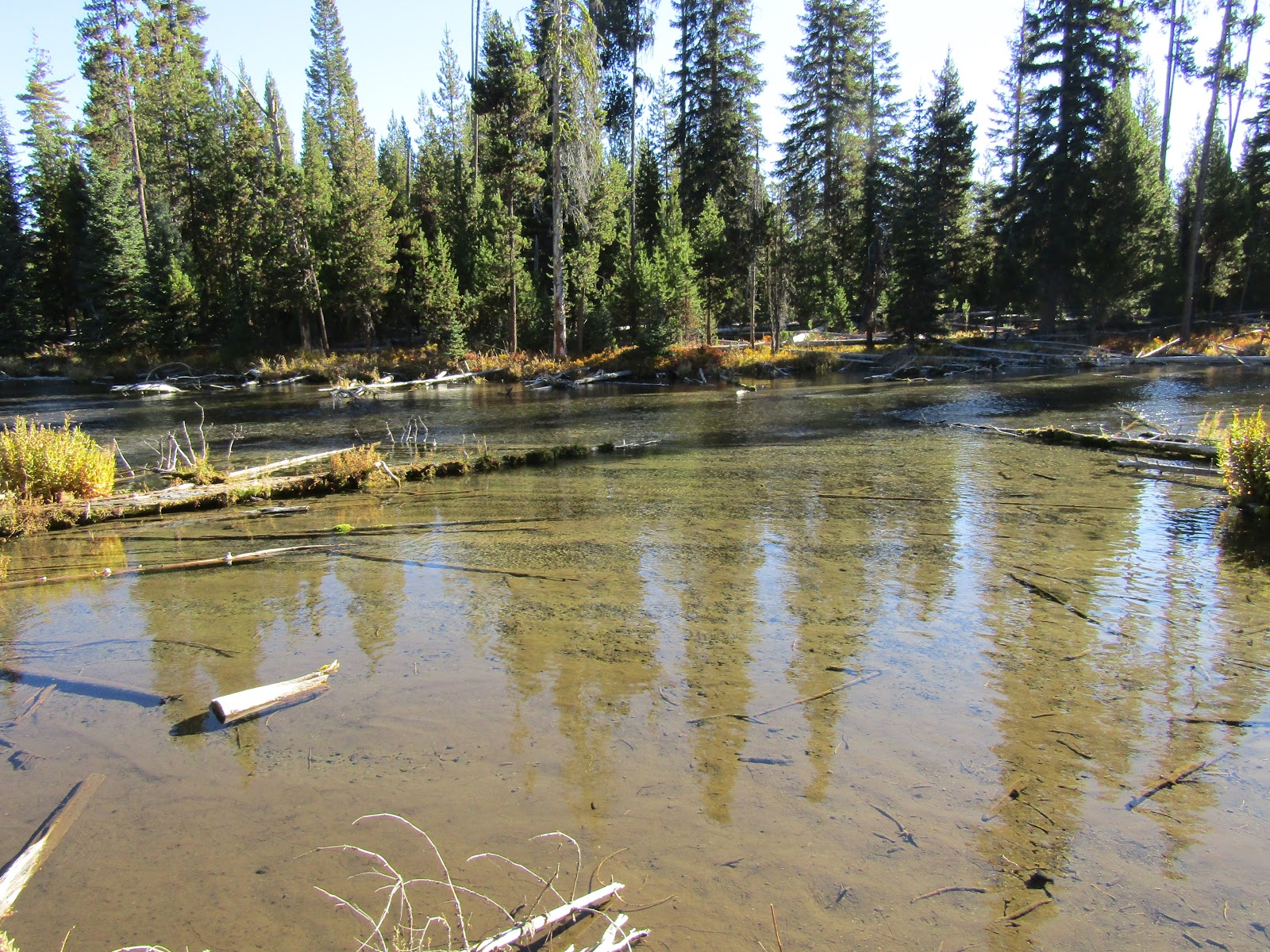 Holly's Horse Tales and Trails Cultus Corral Horse Camp, Three Sisters Wilderness, Oregon