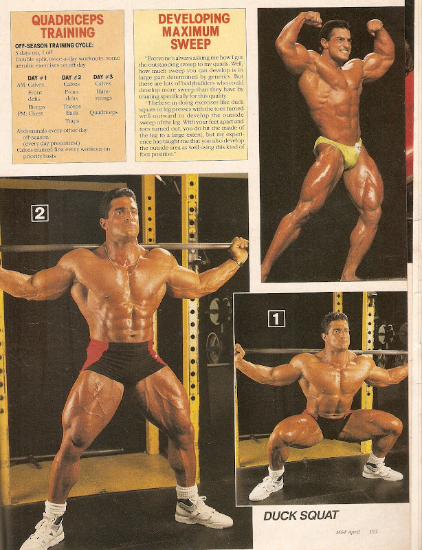 FITNESS&MUSCLE AS FERAS DA REVISTA FITNESS & MUSCLE FRANCO