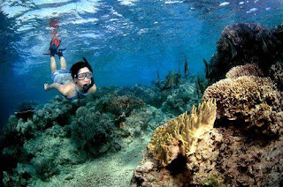 Menjangan Island is ane of the small-scale isle northwest of the Bali isle which is administ Best Place to visit in Bali Island: BEST DIVING SPOT IN BALI