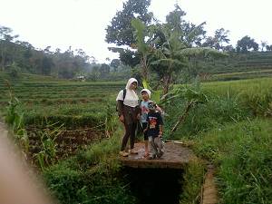 Piknik ke kebun Ubi  DESA CILEMBU