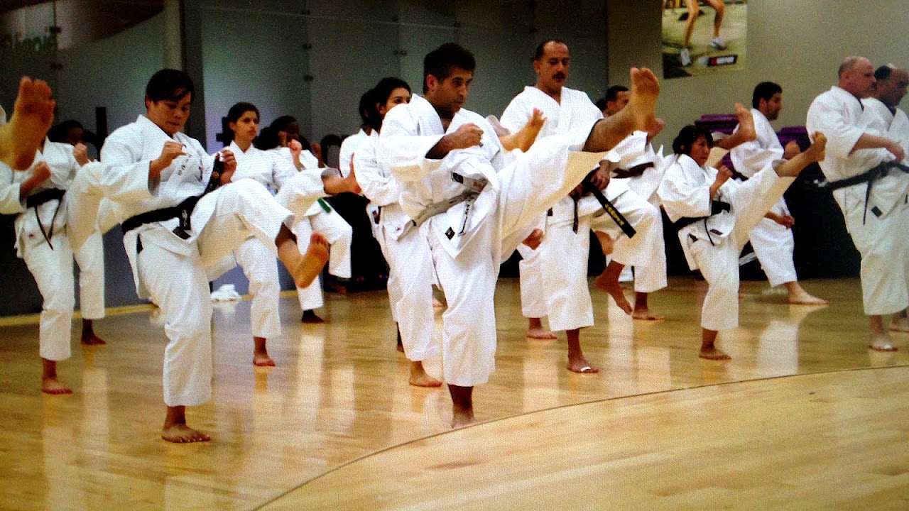 Dojo Karate School Names Karate Choices