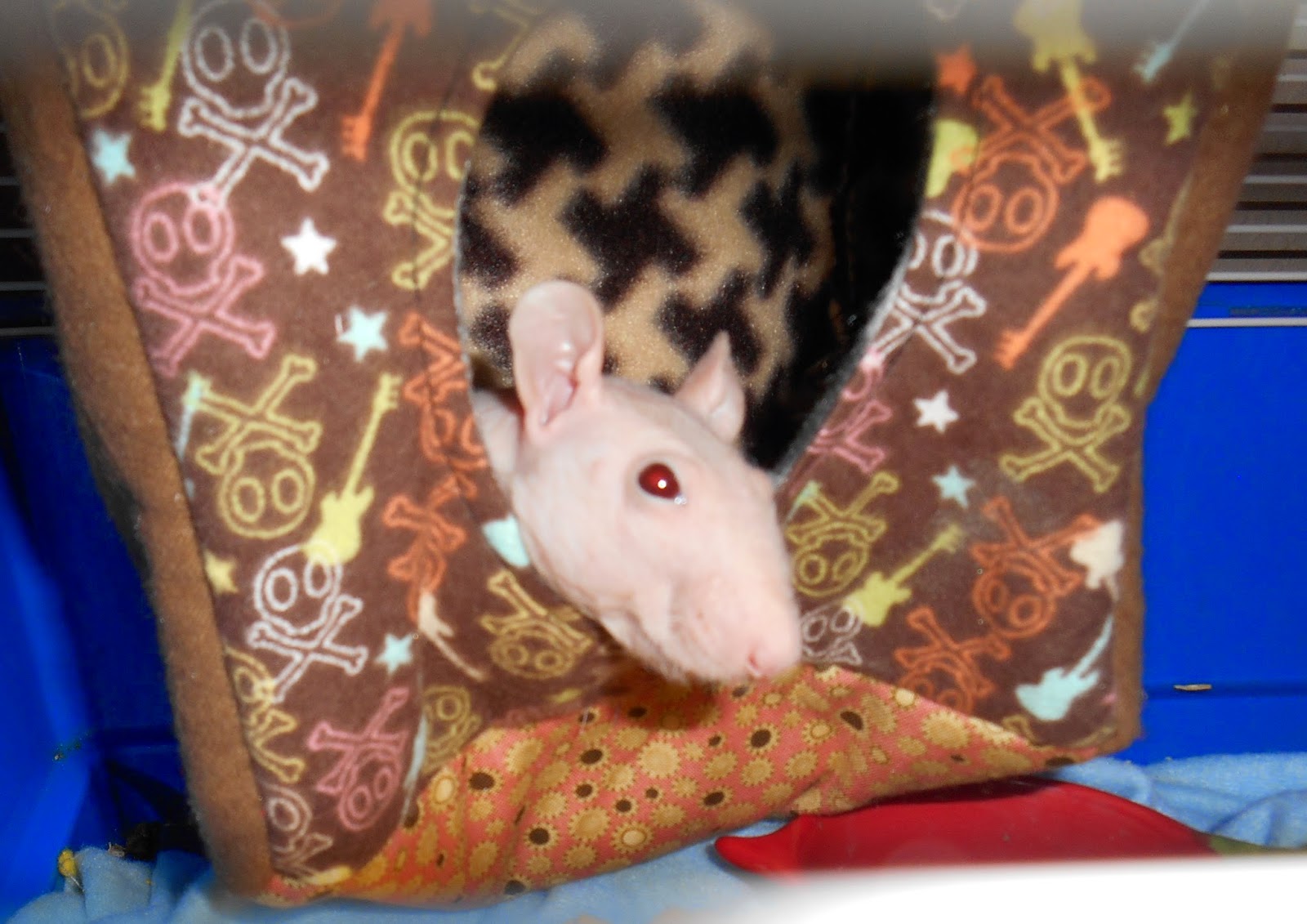 Dark Thoughts Digging Box For Rats