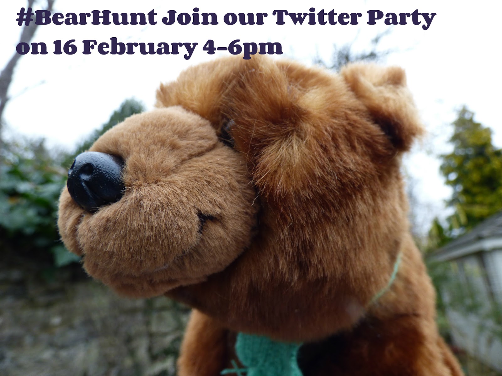Chez Maximka Join the We're Going on a Bear Hunt Twitter Party!
