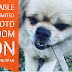 How to Enable Unlimited photo Zoom on any iPhone/iPad ! No Jailbreak
