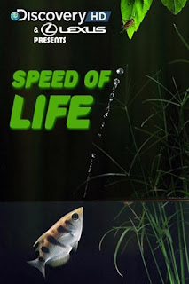 Chậm Là Chết - Discovery Channel: Speed of Life Chậm Là Chết
