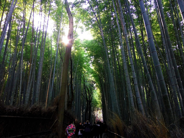 backpacking, backpacking murah, jalan-jalan, travelling, flashpacking, jepang, kyoto, arashiyama, arashiyama bamboo groove