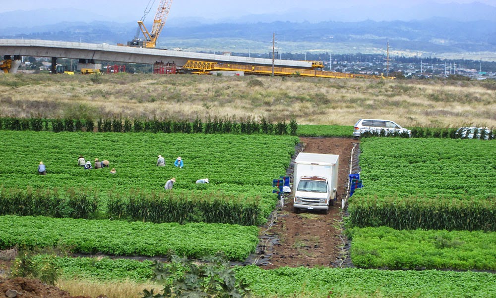 Honouliuli Ewa Traditional Cultural Properties Photos Of West Oahu