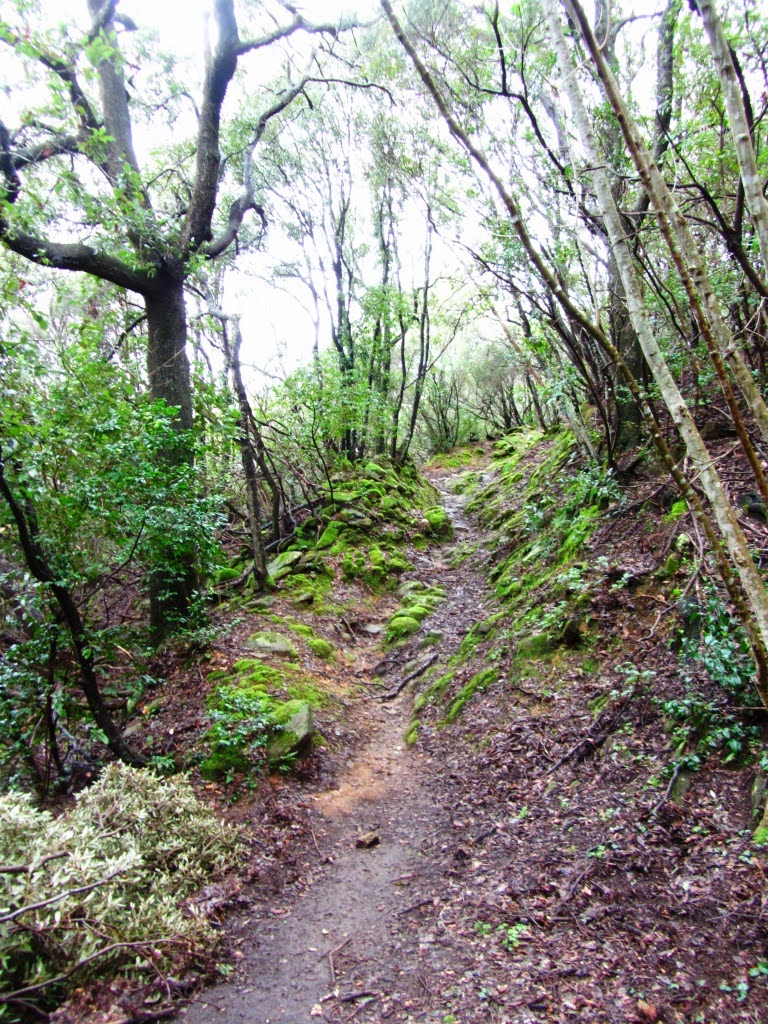 MagoZichele Le Bandite di Scarlino