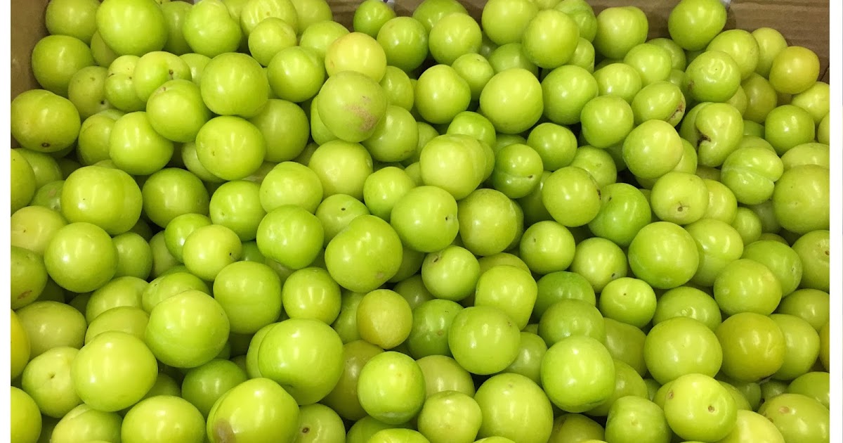 Two Men and a Little Farm GREEN PLUMS MYSTERY