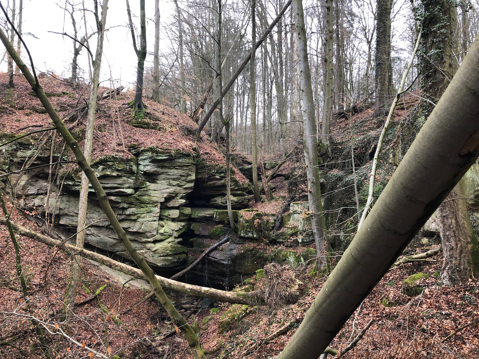 Von Der Sophienquelle Bei Grunsberg In Die Wolfsschlucht
