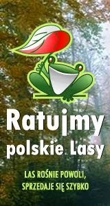 POLSKIE LASY