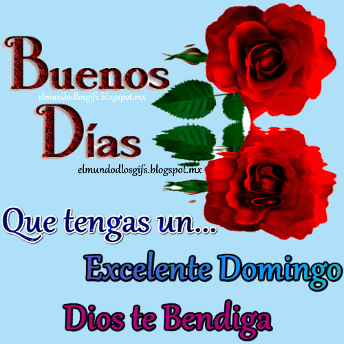 Ver las imágenes de origen