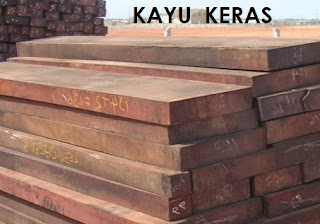Anim Agro Technology: MENGENAL JENIS KAYU (Part 2)