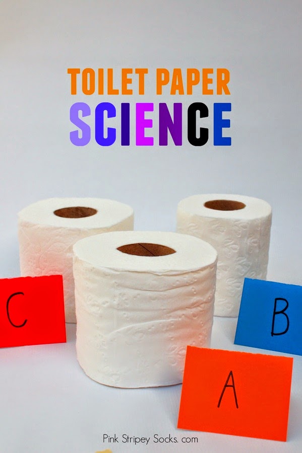 Preschool STEM Science Activity- toilet paper science