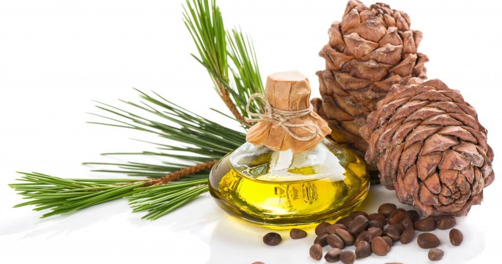 sedir ağacı yağının faydaları yan etkiler kullanım şekli sedir ağacı yağının faydaları yan etkiler kullanım şekli