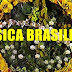 Os ritmos do Brasil - Músicas que tocam