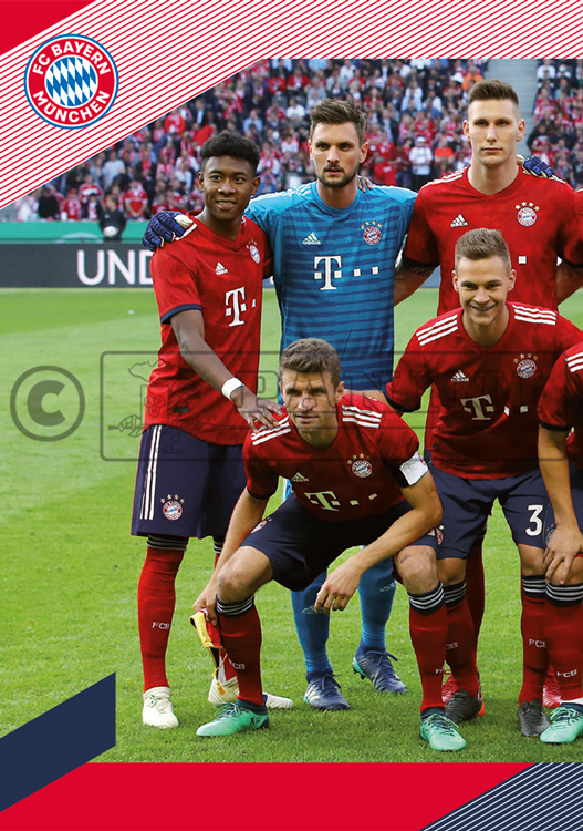 Panini FC Bayern München 2018//19 Rafinha Sticker 51