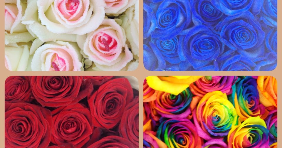 ร้านดอกไม้ สวนหลวงฟลอรีสท์ ภูเก็ต: ช่อดอกไม้วาเลนไทน์ 2017 VALENTINE GIFT