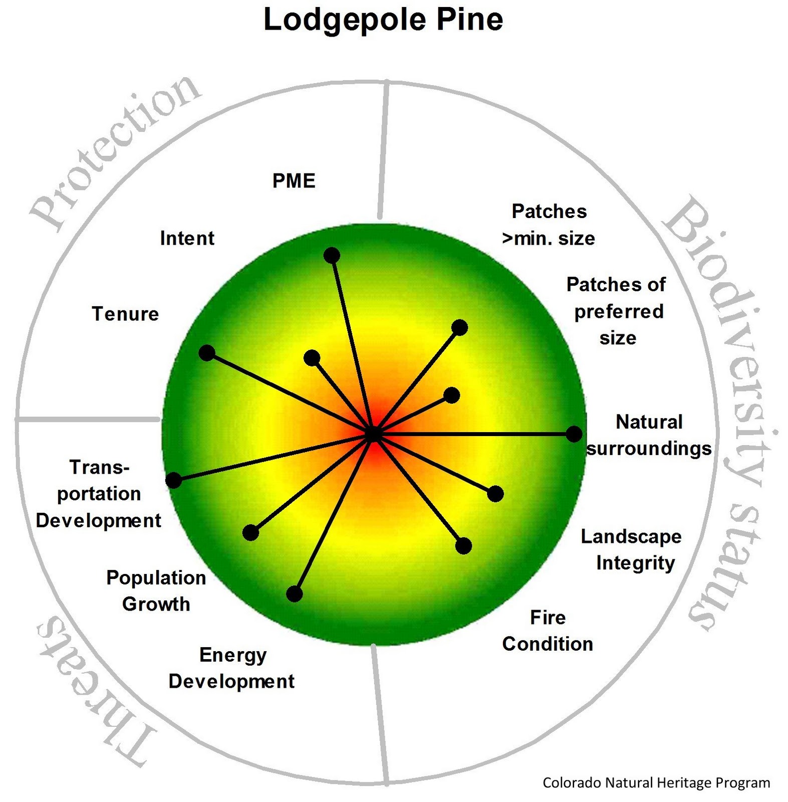 CNHP Blog Ecological Systems Lodgepole Pine