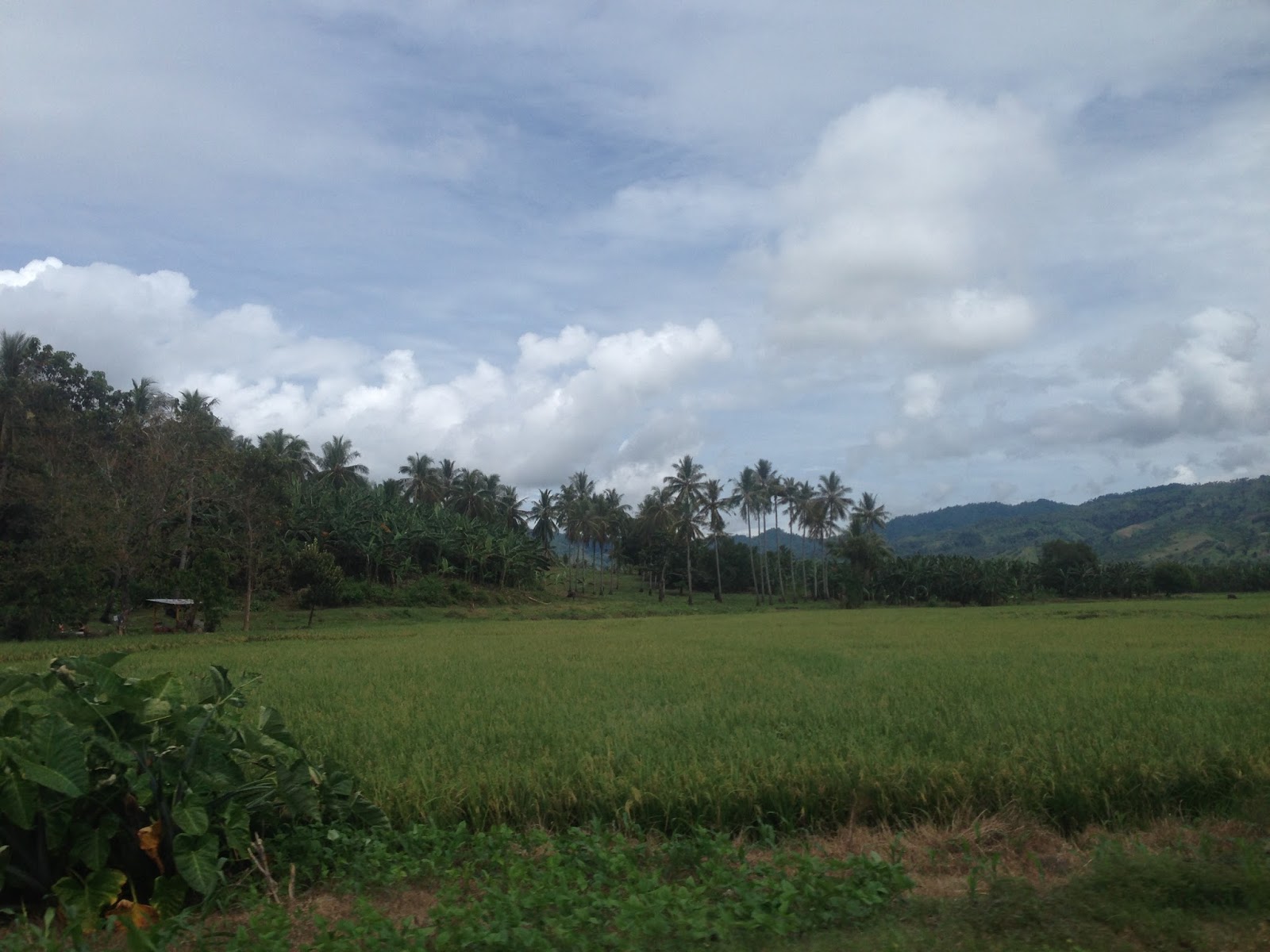 Travel Diary 2016 A Glimpse of Lanao del Norte
