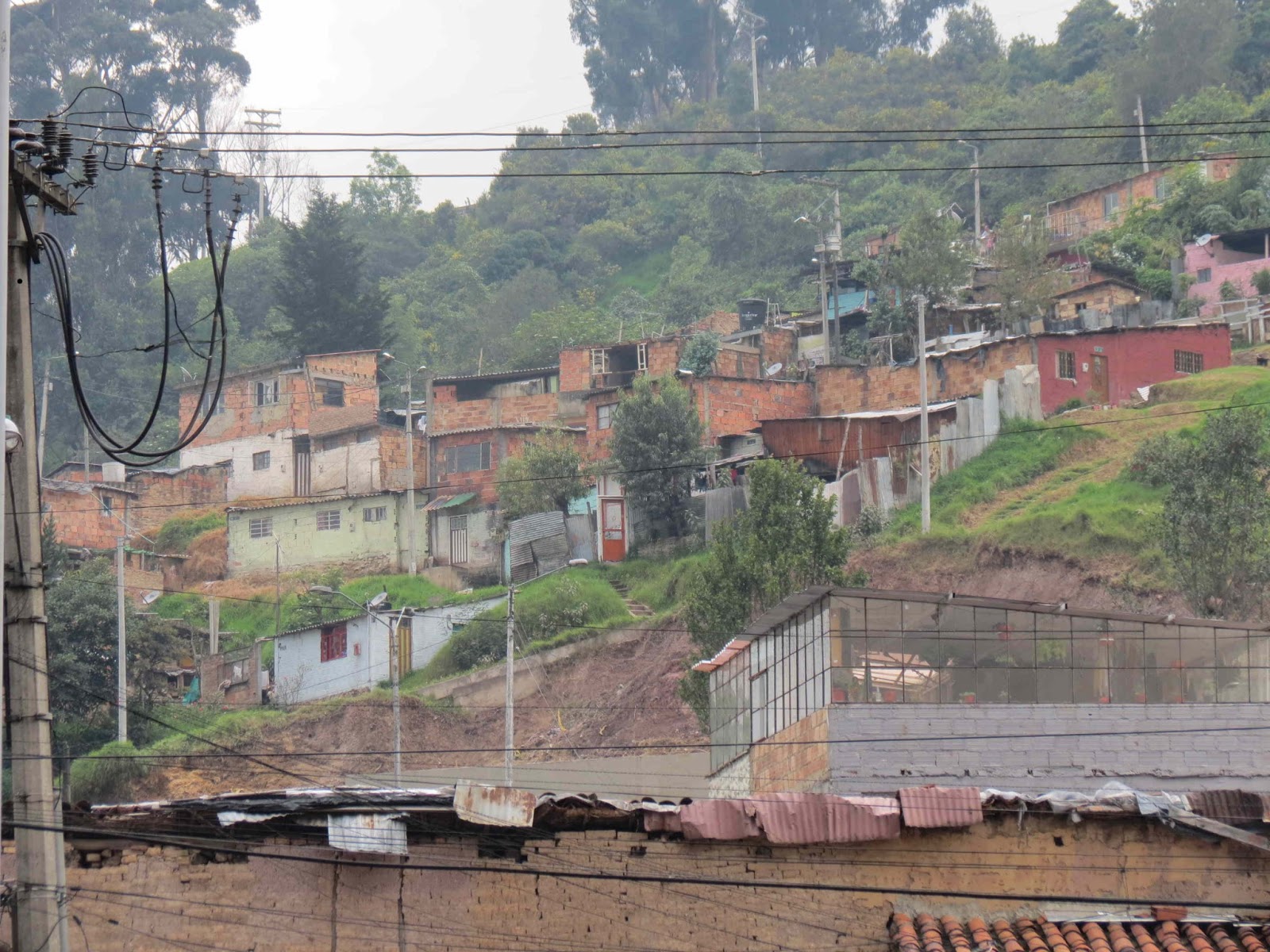 Mike's Bogota Blog Petro's Master of Immobility