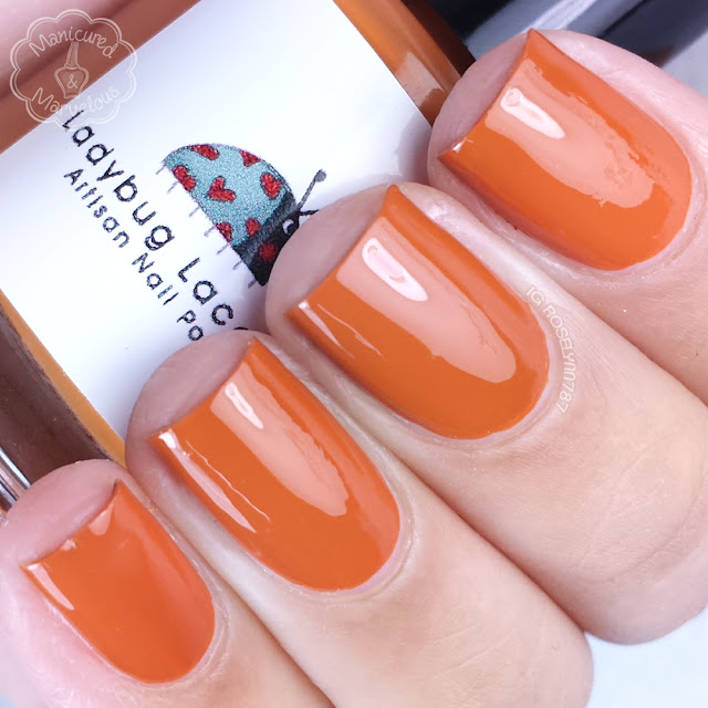 Ladybug Lacquer - Granny's Pumpkin Pie