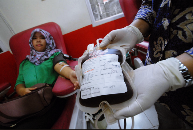 donor darah donor darah