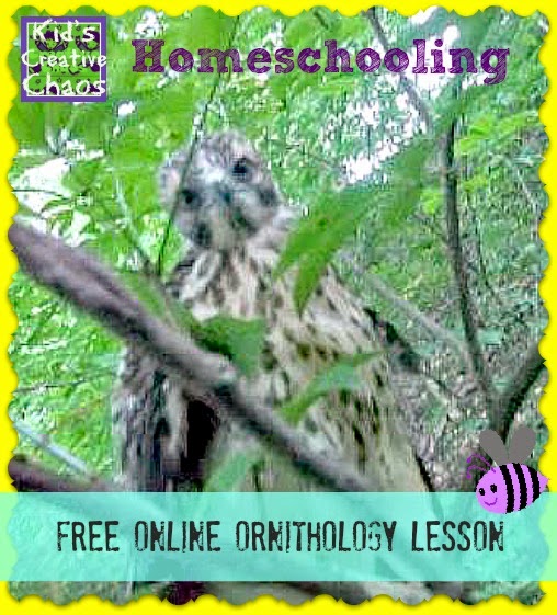 Homeschool Nature Study Ornithology Homeschool Nature Study Ornithology