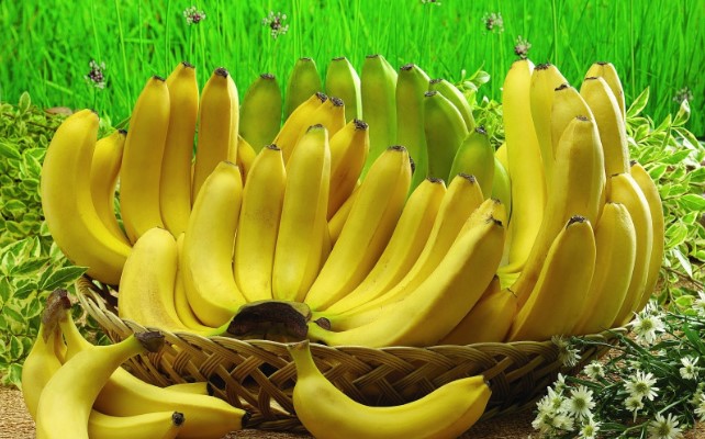 Manfaat Buah Pisang Untuk Kesehatan Manfaat Buah Pisang Untuk Kesehatan